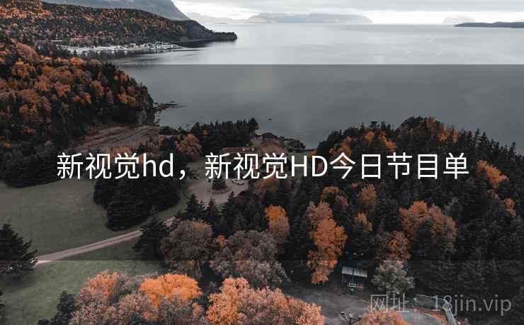 新视觉hd，新视觉HD今日节目单
