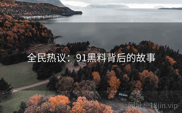 全民热议：91黑料背后的故事