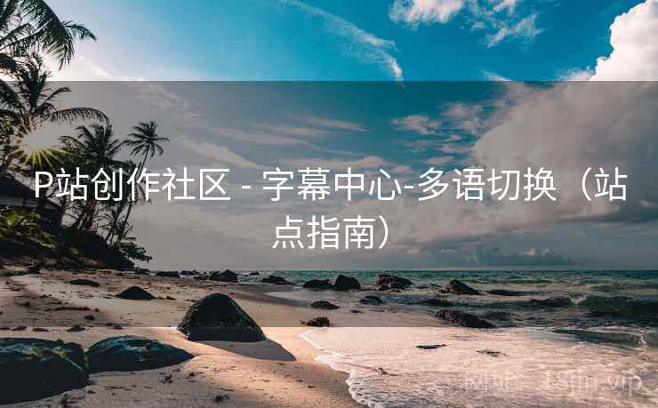 P站创作社区 - 字幕中心-多语切换（站点指南）